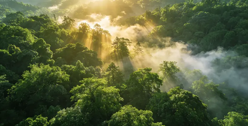 信阳肺癌172基因检测图片1