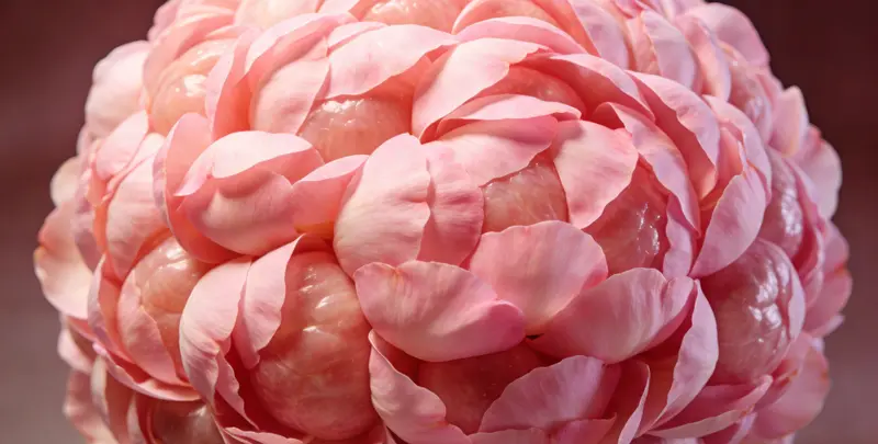 信阳BRCA1/2乳腺癌卵巢癌基因检测图片1